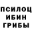 Псилоцибиновые грибы Psilocybe daddy 63