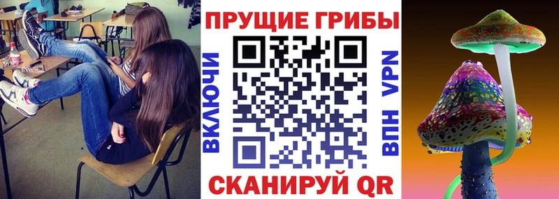 Псилоцибиновые грибы Cubensis  Талдом 