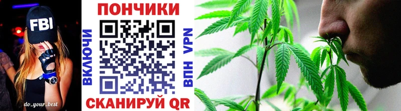 наркошоп  Талдом  Бошки марихуана индика 